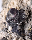 6.6cms PROUSTITE RUBY SILVER Acanthite Crystals Uchucchacua Mine Peru Mineral Specimen H279