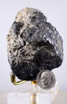 6.6cms PROUSTITE RUBY SILVER Acanthite Crystals Uchucchacua Mine Peru Mineral Specimen H279