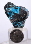 3.7cms CHRYSOCOLLA GRAPE BOTRYOIDAL Crystals Blue Shattuckite Turquoise Ajoite ? Color Stalactite ce895