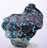 3.7cms CHRYSOCOLLA GRAPE BOTRYOIDAL Crystals Blue Shattuckite Turquoise Ajoite ? Color Stalactite ce895