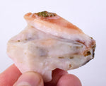 45 Grams PINK OPAL ROUGH A A Quality Jewelry Pendant Peru Coral Color P231