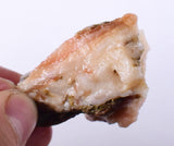45 Grams PINK OPAL ROUGH A A Quality Jewelry Pendant Peru Coral Color P231