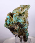8.2cms DRUZY CHRYSOCOLLA STALACTITE Shiny Crystals Gem Silica Peru Quartz Mineral Specimen D217