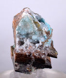 6.2cms DRUZY CHRYSOCOLLA QUARTZ Lily Mine Peru  Malachite Stalactite Suiseki Mineral Specimen DE219