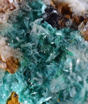 5.9cms CHRYSOCOLLA MALACHITE SELENITE Crystals Peru Quartz Calcite Barite ? Brochantite ? Ajoite ? Rosasite ? Mineral Specimen   Peru C904