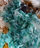 5.9cms CHRYSOCOLLA MALACHITE SELENITE Crystals Peru Quartz Calcite Barite ? Brochantite ? Ajoite ? Rosasite ? Mineral Specimen   Peru C904