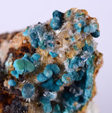 5.2cms CHRYSOCOLLA MALACHITE SELENITE Crystals Peru Quartz Calcite Barite ? Brochantite ? Ajoite ? Rosasite ? Mineral Specimen  Peru C907