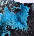 3.7cms CHRYSOCOLLA GRAPE BOTRYOIDAL Crystals Blue Shattuckite Turquoise Ajoite ? Color Stalactite ce895