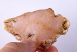 52.4Grams PINK OPAL ROUGH A A Quality Jewelry Pendant Peru Coral Color P223