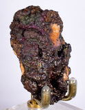 5.7cms GOETHITE BOTRYOIDAL IRIDESCENT Crystals Peru Iron New Find Mineral Specimen Z03