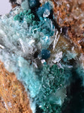 4.4cms CHRYSOCOLLA MALACHITE SELENITE Crystals Peru Quartz Calcite Barite ? Brochantite ? Ajoite ? Rosasite ? Mineral Specimen  Peru C911