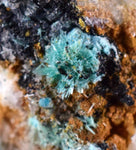 5.4cms CHRYSOCOLLA MALACHITE SELENITE Crystals Peru Quartz Calcite Barite ? Brochantite ? Ajoite ? Rosasite ? Mineral Specimen  Peru C916