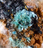 5.4cms CHRYSOCOLLA MALACHITE SELENITE Crystals Peru Quartz Calcite Barite ? Brochantite ? Ajoite ? Rosasite ? Mineral Specimen  Peru C916