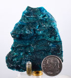 6cms BLUE MALACHITE BOTRYOIDAL Peru Crystals Grape Spheres Shiny Sparkling Translucent New Find Stalactite Others Minerals Specimensn U461