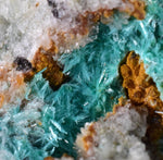 5.9cms CHRYSOCOLLA MALACHITE SELENITE Crystals Peru Quartz Calcite Barite ? Brochantite ? Ajoite ? Rosasite ? Mineral Specimen   Peru C904