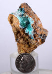 4.4cms CHRYSOCOLLA MALACHITE SELENITE Crystals Peru Quartz Calcite Barite ? Brochantite ? Ajoite ? Rosasite ? Mineral Specimen  Peru C911