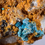 4.1cms CHRYSOCOLLA MALACHITE SELENITE Crystals Peru Quartz Calcite Barite ? Brochantite ? Ajoite ? Rosasite ? Mineral Specimen  Peru C913