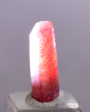 3.5cts RUBY CRYSTAL CORUNDUM Natural Rough Red Tanzania Mineral Specimen Y68