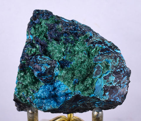 4.8cms CHRYSOCOLLA GRAPE BOTRYOIDAL Crystals Blue Shattuckite Turquoise Ajoite ? Color Stalactite ce918