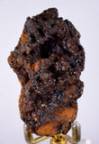 6.8cms GOETHITE BOTRYOIDAL Crystals Peru Iron New Find Mineral Specimen Z04