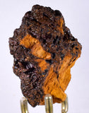 6.8cms GOETHITE BOTRYOIDAL Crystals Peru Iron New Find Mineral Specimen Z04