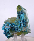 8.5cms QUARTZ CHRYSOCOLLA TENTADORA Mine Peru Grape Botryoidal Stalactite Crystals Rare Ajoite (?) Heterogenite (?) Mineral Specimen ce931