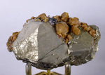 7.5cms PYRITE SIDERITE PERU Shiny Crystals Quartz Sphalerite Mineral Specimen Peru Collector M206