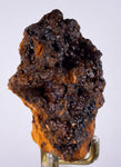 6.8cms GOETHITE BOTRYOIDAL Crystals Peru Iron New Find Mineral Specimen Z04