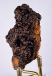 6.8cms GOETHITE BOTRYOIDAL Crystals Peru Iron New Find Mineral Specimen Z04