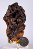 6.8cms GOETHITE BOTRYOIDAL Crystals Peru Iron New Find Mineral Specimen Z04