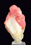 3.2cms RHODOCHROSITE QUARTZ Premium Miniature Crystals Huayllapon Pasto Bueno Mine Peru Collector Mineral Specimen R477