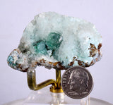 5.3cms DRUZY CHRYSOCOLLA CALCITE Lily Mine Peru Malachite 2000 Discovery Super Shiny Crystals Mineral Specimen D235