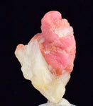 3.2cms RHODOCHROSITE QUARTZ Premium Miniature Crystals Huayllapon Pasto Bueno Mine Peru Collector Mineral Specimen R477