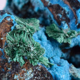 5.1cms CHRYSOCOLLA GRAPE BOTRYOIDAL Crystals Blue Shattuckite Turquoise Ajoite ? Color Stalactite ce932