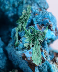 5.1cms CHRYSOCOLLA GRAPE BOTRYOIDAL Crystals Blue Shattuckite Turquoise Ajoite ? Color Stalactite ce932