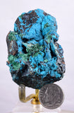 5.1cms CHRYSOCOLLA GRAPE BOTRYOIDAL Crystals Blue Shattuckite Turquoise Ajoite ? Color Stalactite ce932