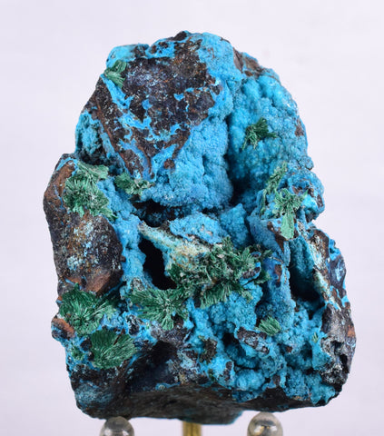 5.1cms CHRYSOCOLLA GRAPE BOTRYOIDAL Crystals Blue Shattuckite Turquoise Ajoite ? Color Stalactite ce932