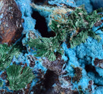 5.1cms CHRYSOCOLLA GRAPE BOTRYOIDAL Crystals Blue Shattuckite Turquoise Ajoite ? Color Stalactite ce932