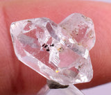 1.6cms HERKIMER DIAMOND ANTHRAXOLITE Crystals Mineral Specimen Peru Q317