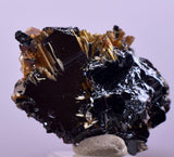 2.1cms GOLDEN RUTILE HEMATITE Spray Needles Crystals Titanium Bahia Brazil Mineral Spacimen  X12