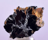 2.1cms GOLDEN RUTILE HEMATITE Spray Needles Crystals Titanium Bahia Brazil Mineral Spacimen  X12