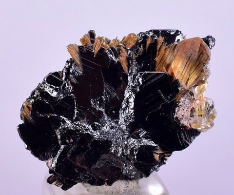 2.1cms GOLDEN RUTILE HEMATITE Spray Needles Crystals Titanium Bahia Brazil Mineral Spacimen  X12