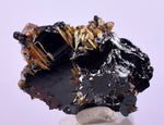 2.1cms GOLDEN RUTILE HEMATITE Spray Needles Crystals Titanium Bahia Brazil Mineral Spacimen  X12