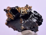 2.1cms GOLDEN RUTILE HEMATITE Spray Needles Crystals Titanium Bahia Brazil Mineral Spacimen  X12