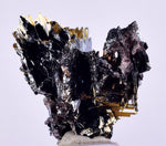 2.3cms GOLDEN RUTILE HEMATITE Spray Needles Crystals Titanium Bahia Brazil Mineral Spacimen  X13