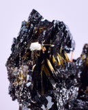 2.3cms GOLDEN RUTILE HEMATITE Spray Needles Crystals Titanium Bahia Brazil Mineral Spacimen  X13