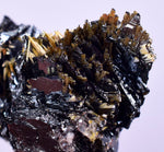 2.3cms GOLDEN RUTILE HEMATITE Spray Needles Crystals Titanium Bahia Brazil Mineral Spacimen  X13
