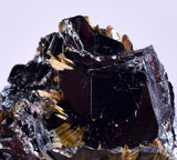 2.8cms GOLDEN RUTILE HEMATITE Spray Needles Crystals Titanium Bahia Brazil Mineral Spacimen  X15