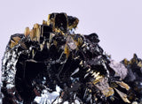 2.8cms GOLDEN RUTILE HEMATITE Spray Needles Crystals Titanium Bahia Brazil Mineral Spacimen  X15