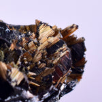 2cms GOLDEN RUTILE HEMATITE Spray Needles Crystals Titanium Bahia Brazil Mineral Spacimen  X16